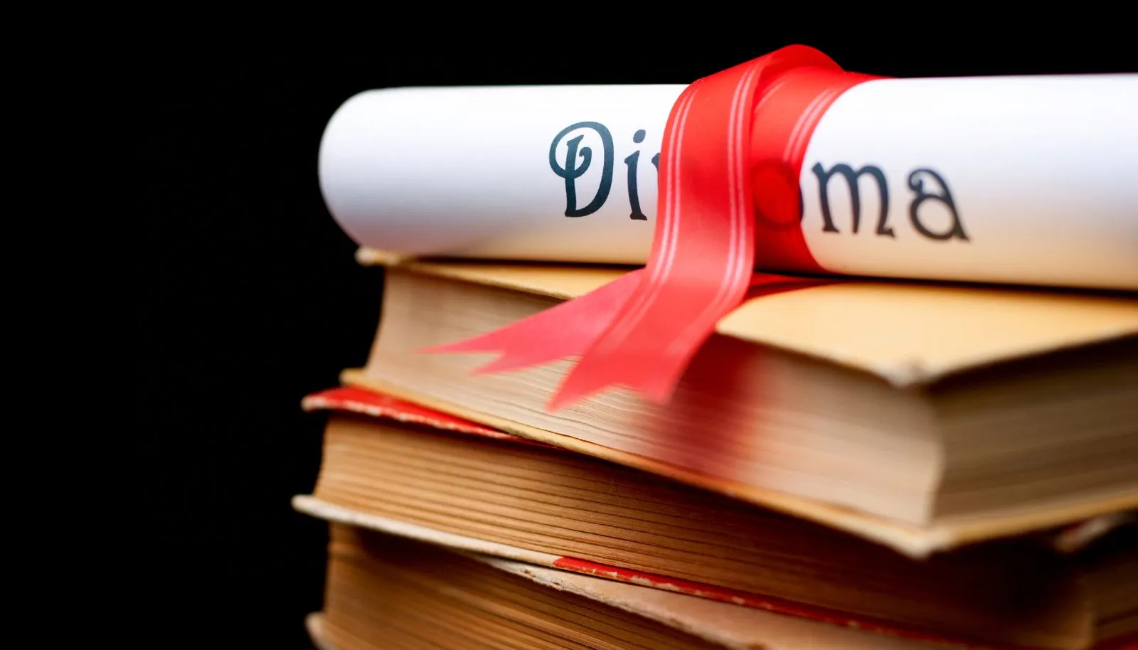 DAAD EPOS Scholarship