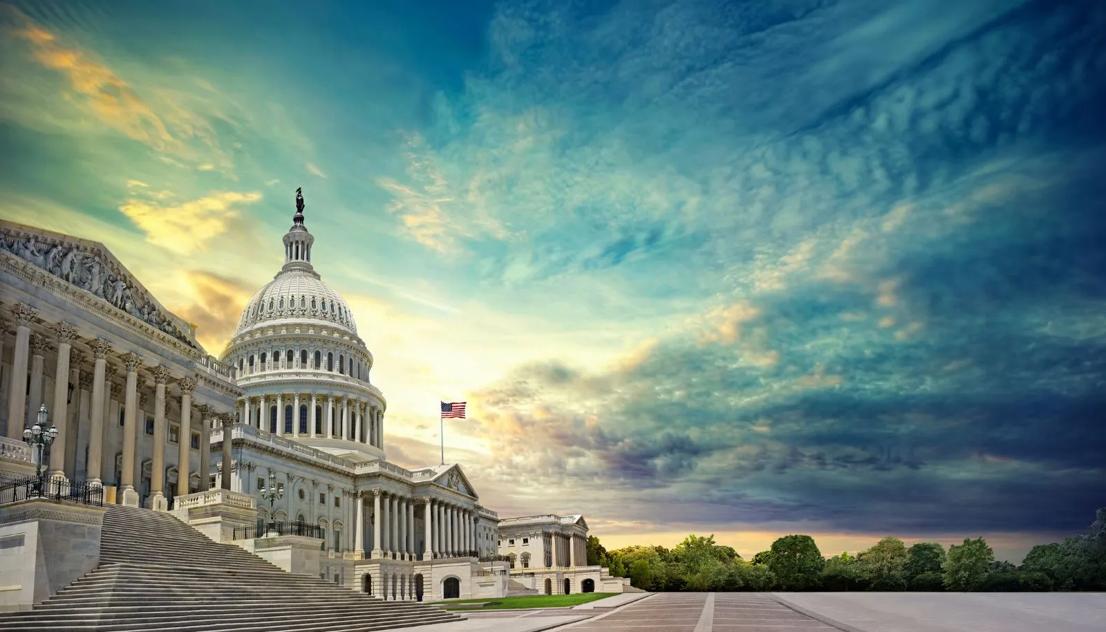 United Nations Internship