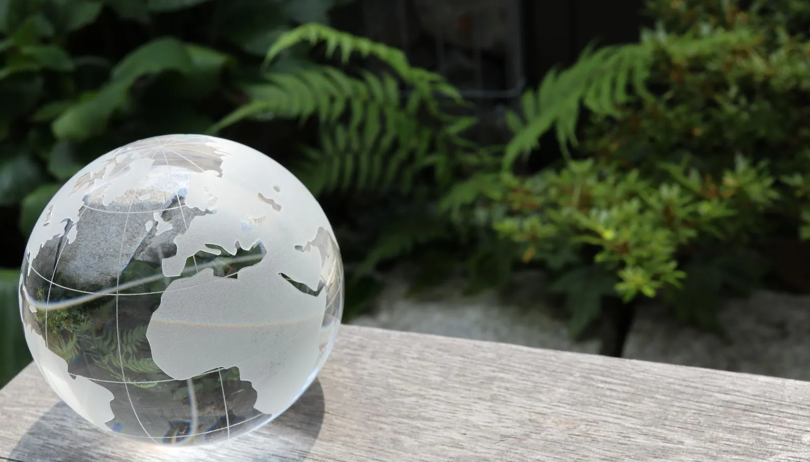 UNICEF Internship Program